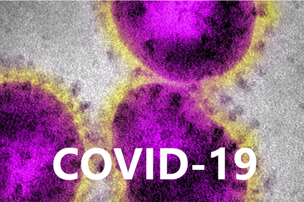 Coronavirus disease (COVID-19) advice for the public