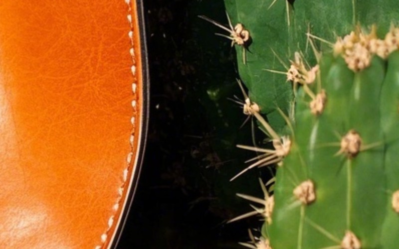 What is Cactus Leather material?