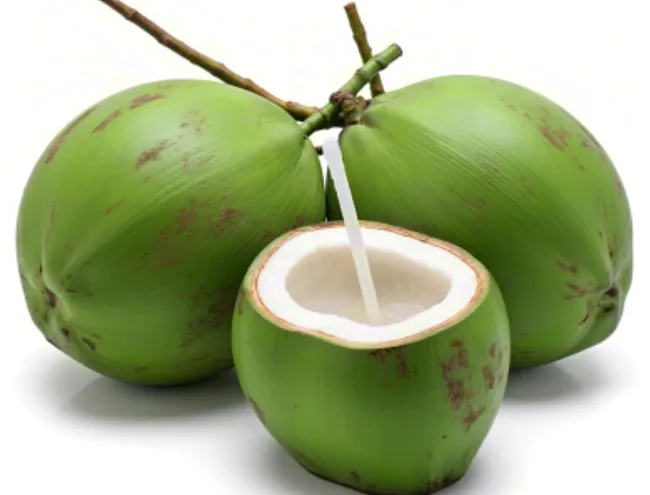 coconut leather material