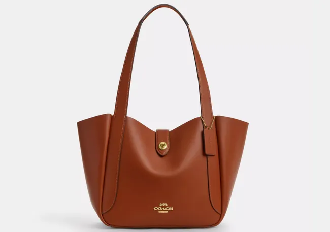 Why is Coach bag popular?