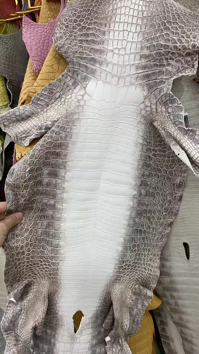 alligator leather