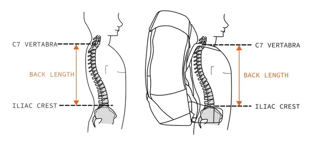 How to Measure Your Torso Length