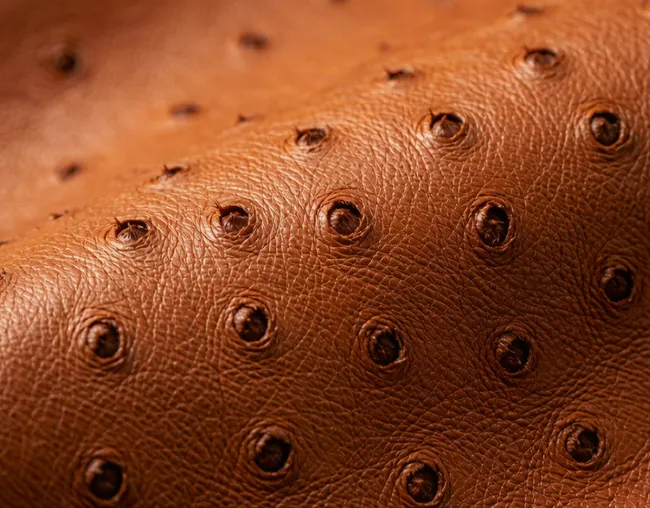 What Is Ostrich Leather? Is It Expensive, Durable? Ultimate Guide